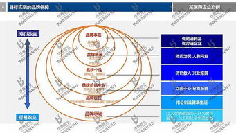 劉春華老師解讀 2017年度公司目標(biāo)設(shè)計(jì)與營(yíng)銷(xiāo)戰(zhàn)略規(guī)劃