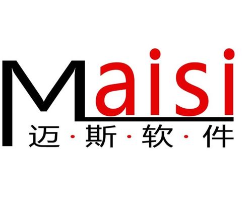 科技賦能，數(shù)智轉(zhuǎn)型 合肥邁斯軟件科技的軟件開(kāi)發(fā)之道